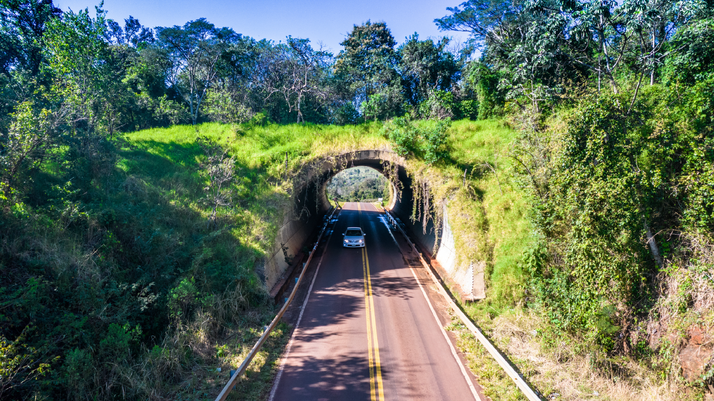 Imagen del pasafauna o ecoducto